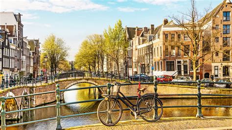 sandemans|sandemans walking tour amsterdam.